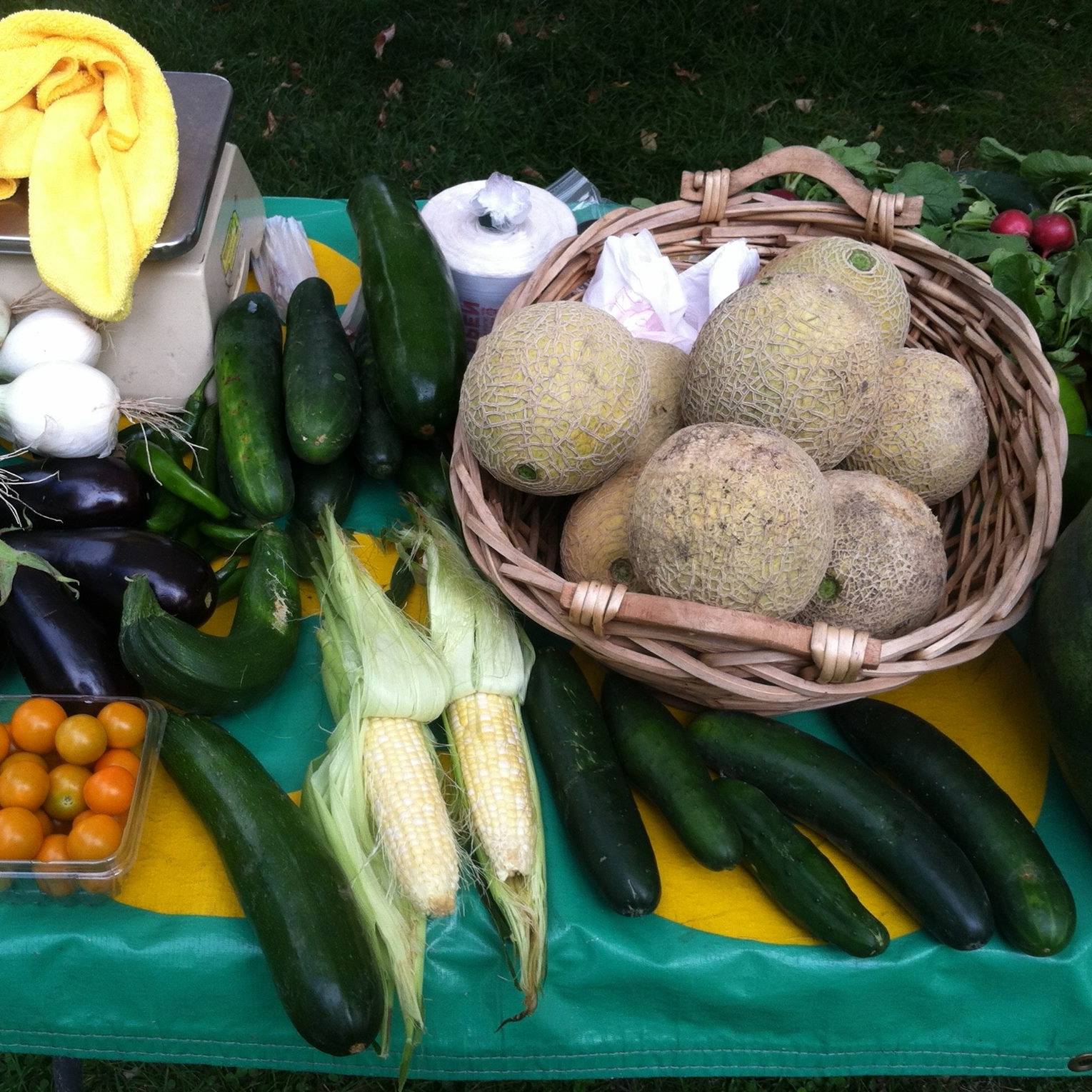 image of produce at Bennet Farmers' Market