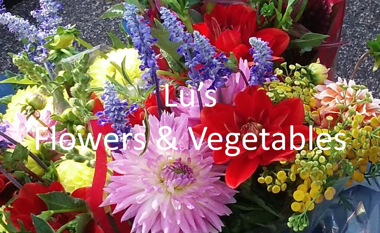 Lu's Flowers and Vegetables  Logo