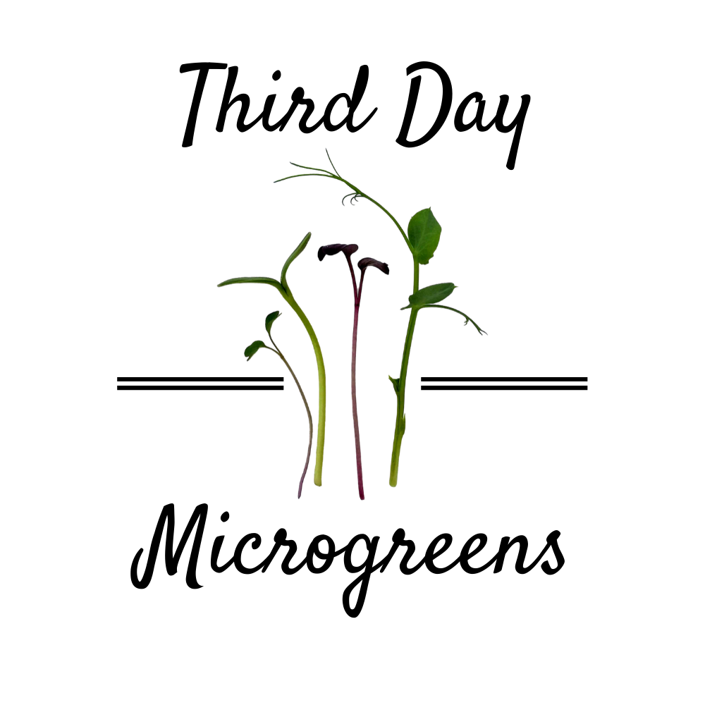 Third Day Microgreens Logo