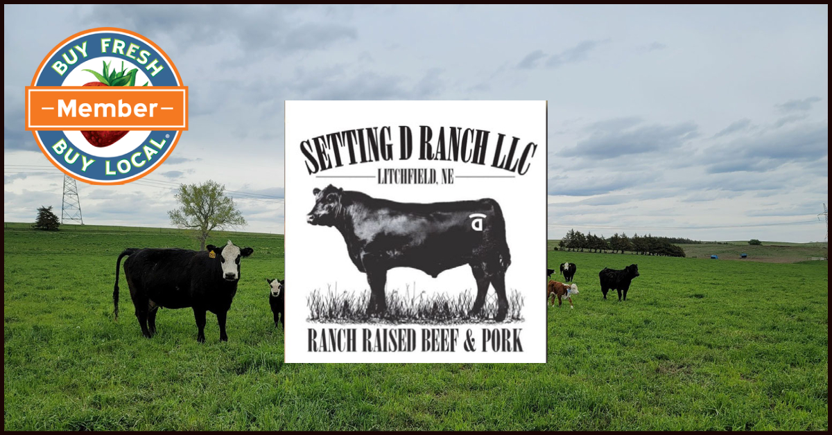 Setting D Ranch Litchfield NE