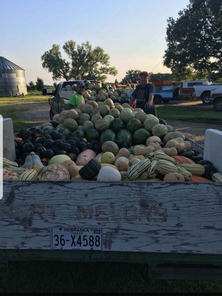 Lambert Melons Photo