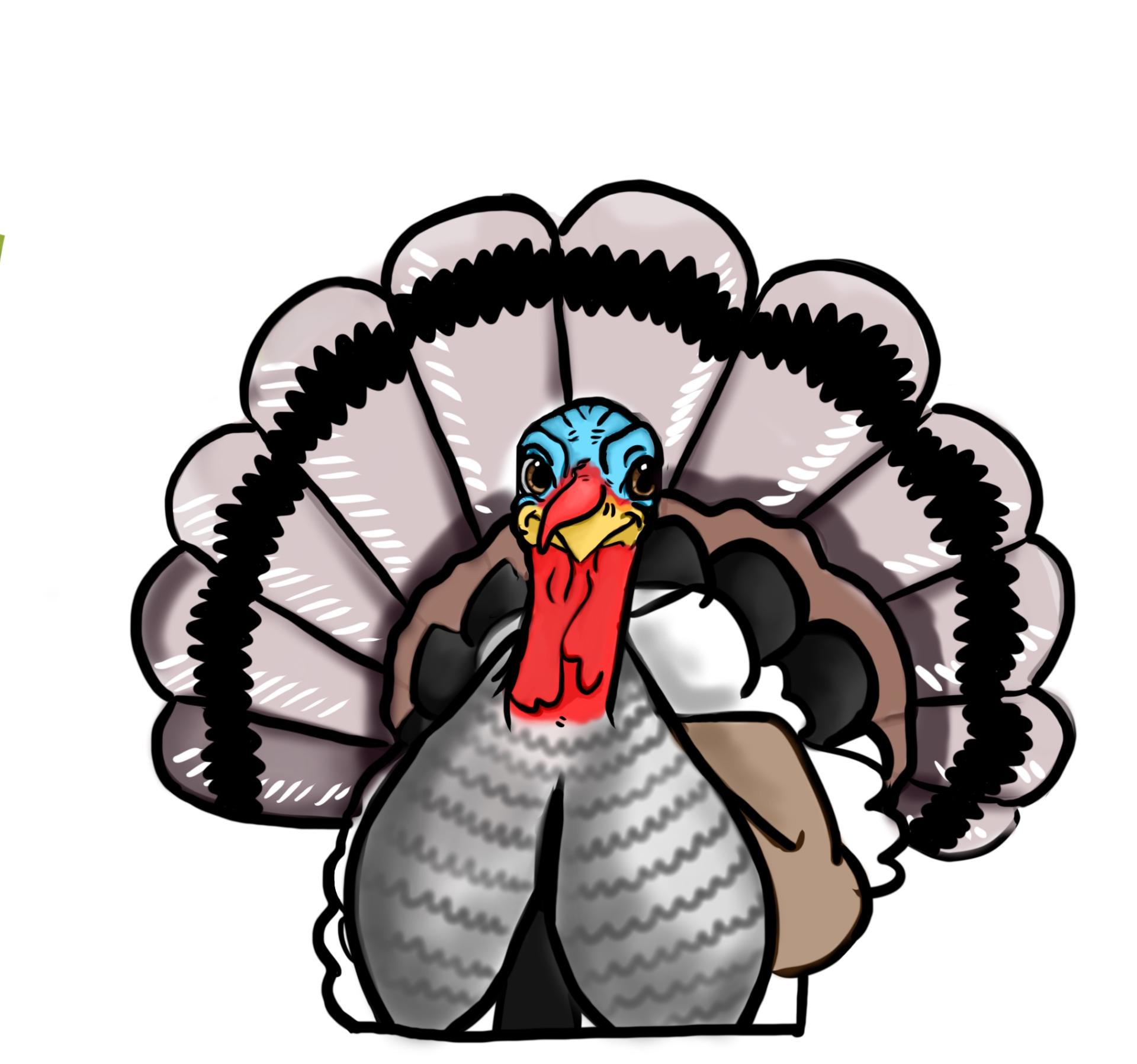 Nebraska Heritage Turkeys Logo