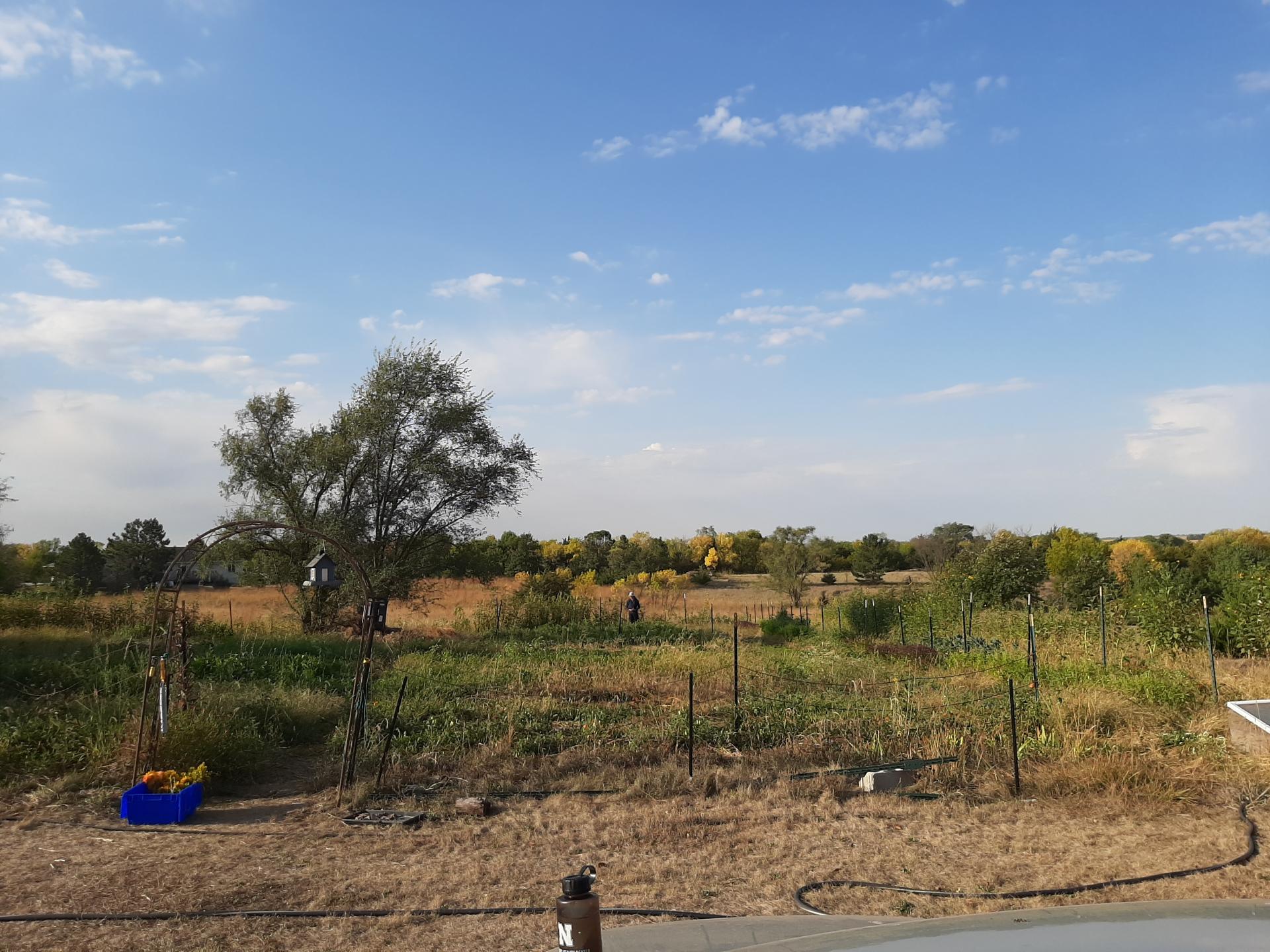 Salt Creek Farmers' Cooperative Photo