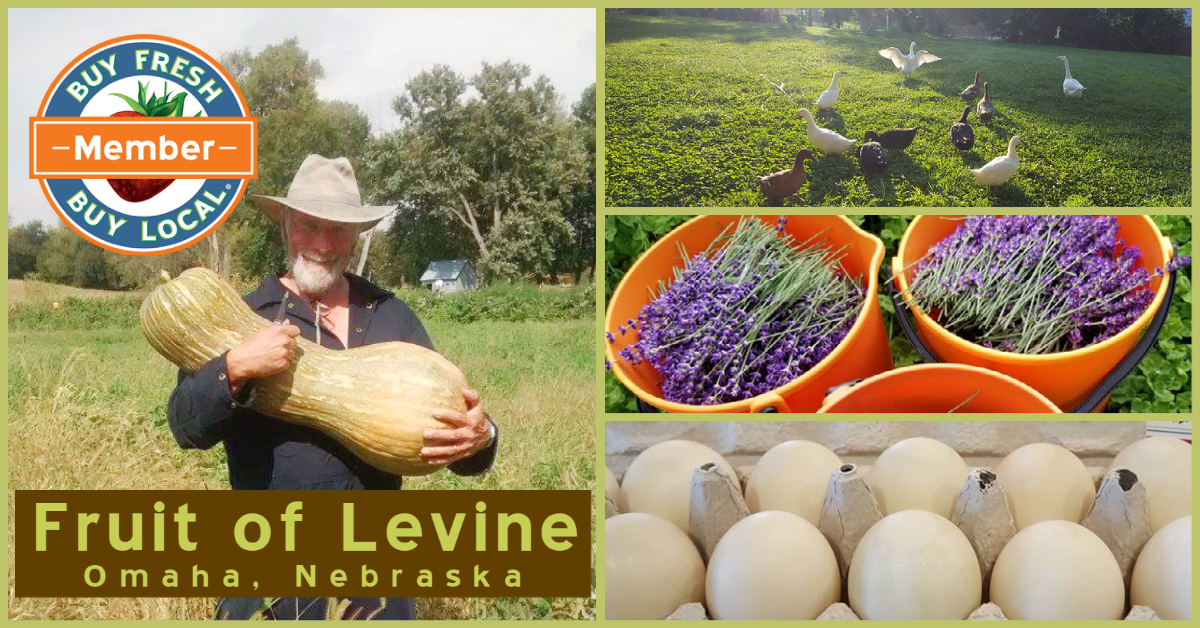 Fruit of Levine Omaha Nebraska