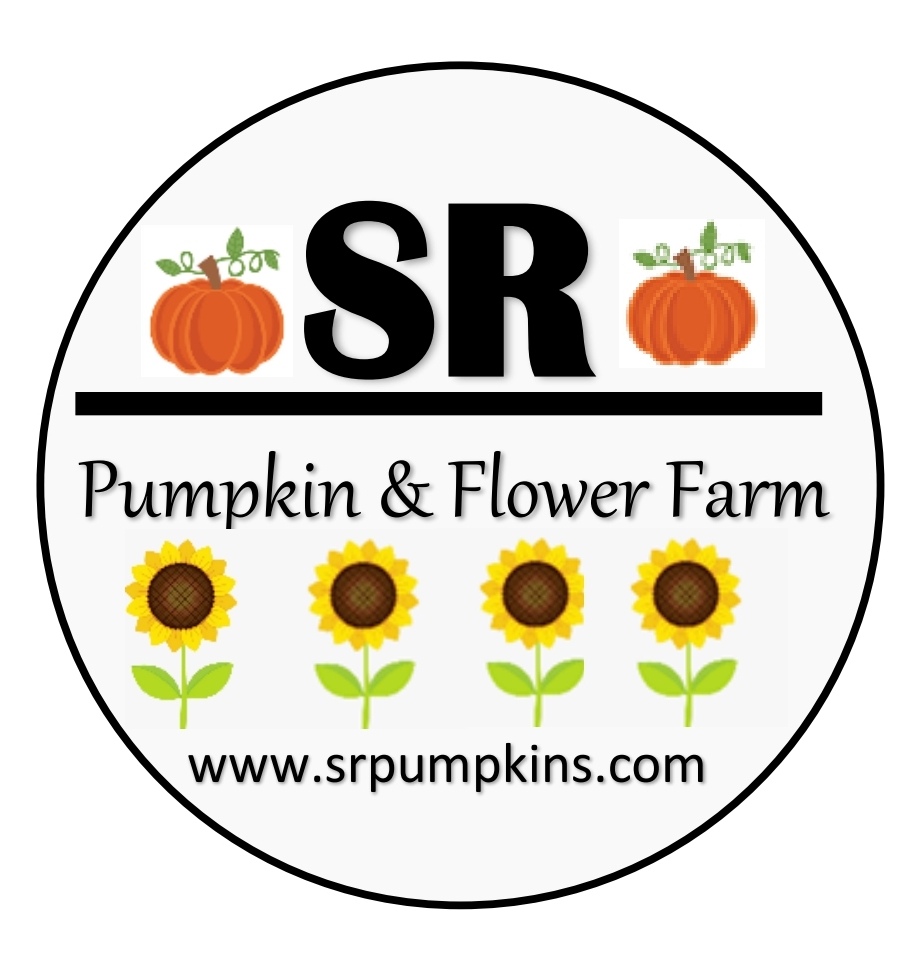 SR Pumpkin and Flower Farm Photo