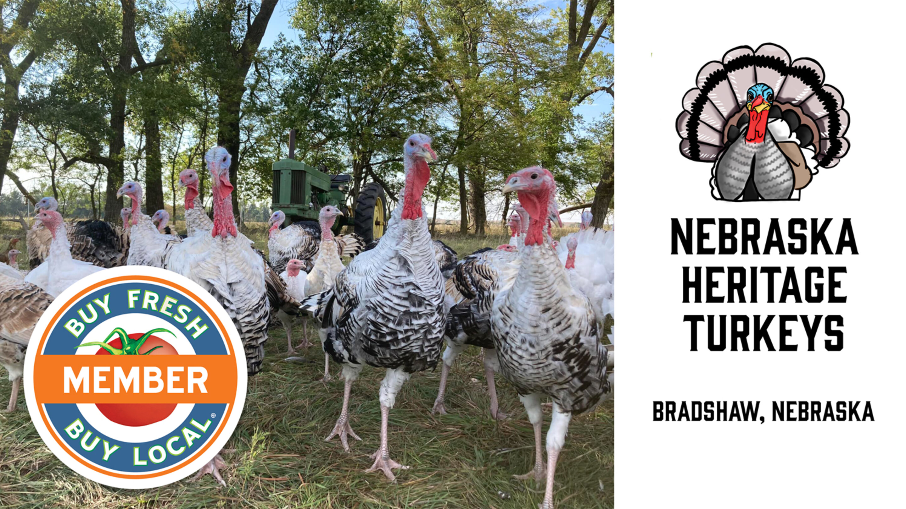 Member Spotlight: Nebraska Heritage Turkeys | Buy Fresh Buy Local ...