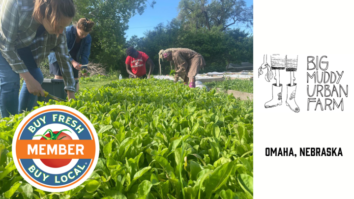 Big Muddy Urban Farm Promo photo