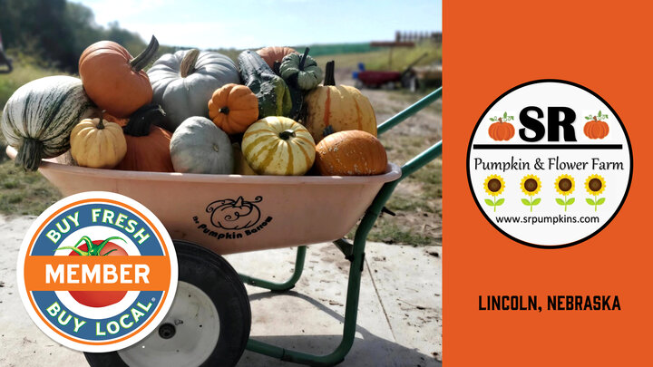 Spotlight for SR Pumpkin and Flower Farm showing a wheelbarrow of pumpkins