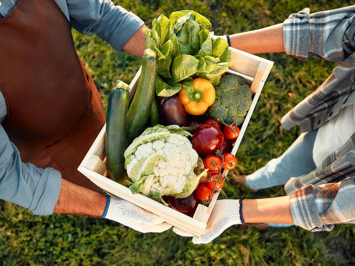 Basket of freshly harvested produce