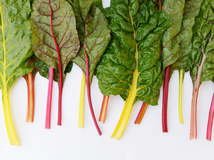 Rainbow chard