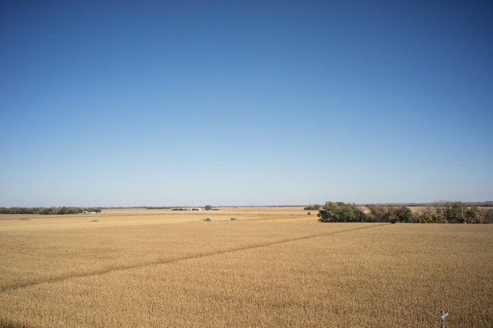 Photo of Grain Place Foods, a farm located in Marquette, Nebraska with a 9-year crop rotation that includes corn, popcorn, soybean, barley, grasses, and legumes.