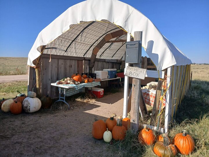 Megan's Market road side produce stand with pumpkins out front and a payment box