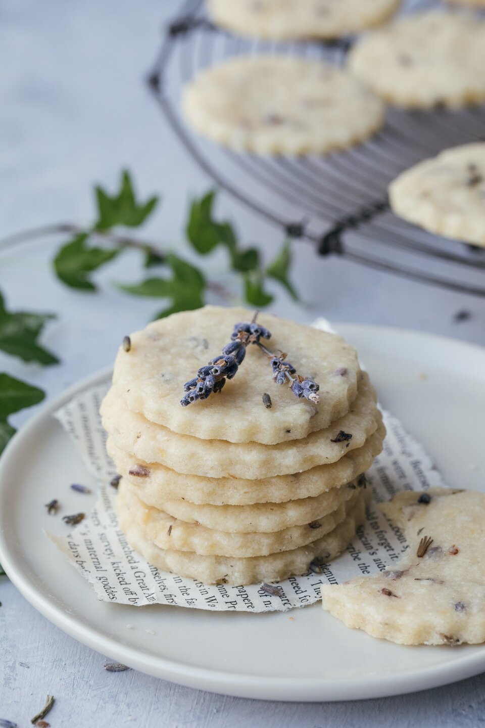 Lavender Cookies 