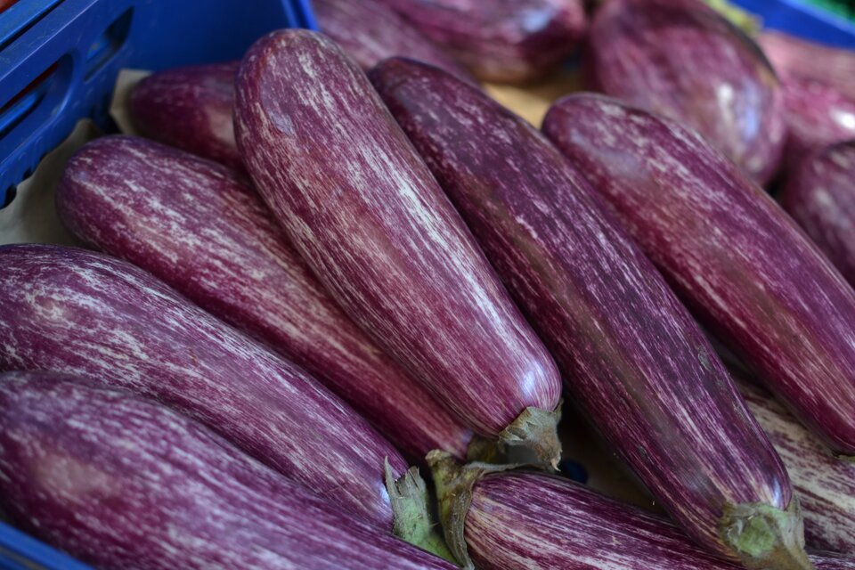 Eggplants